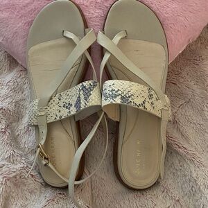 Cream Color W Snake Skin